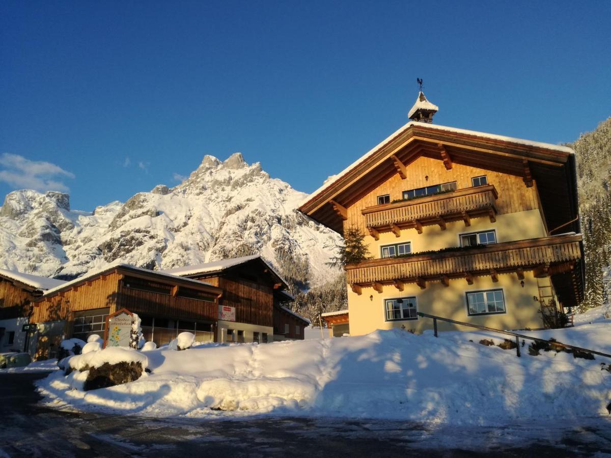 Bio Bauernhof Vorderoberlehen Hotel Werfenweng Luaran gambar