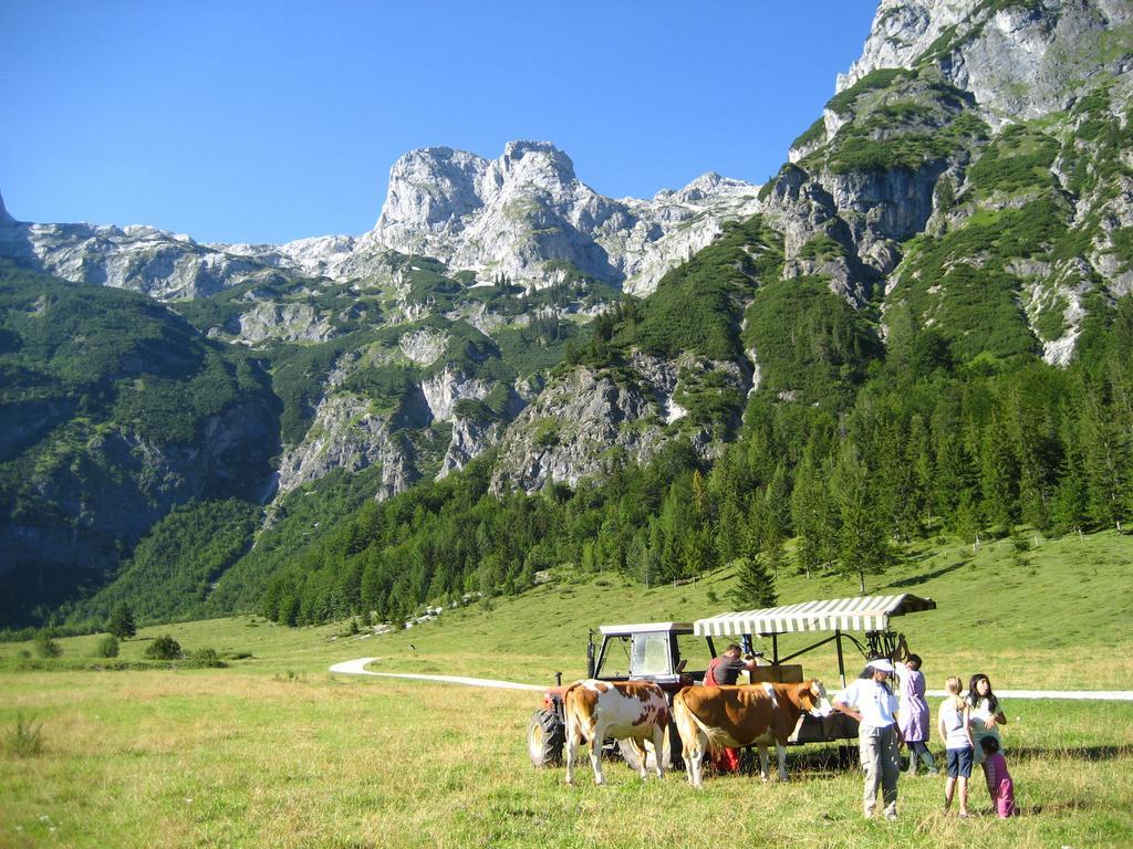 Bio Bauernhof Vorderoberlehen Hotel Werfenweng Luaran gambar