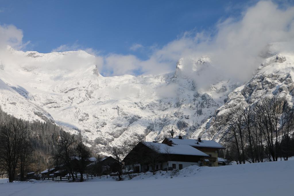 Bio Bauernhof Vorderoberlehen Hotel Werfenweng Luaran gambar