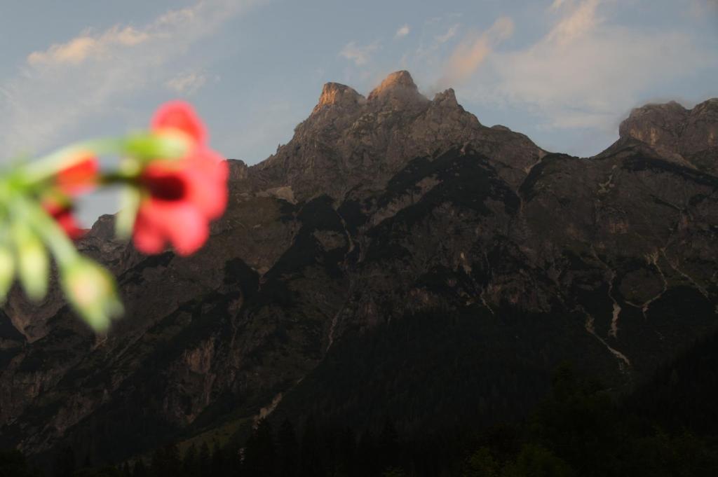 Bio Bauernhof Vorderoberlehen Hotel Werfenweng Luaran gambar