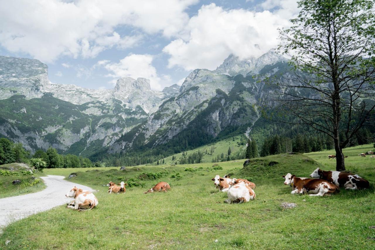 Bio Bauernhof Vorderoberlehen Hotel Werfenweng Luaran gambar