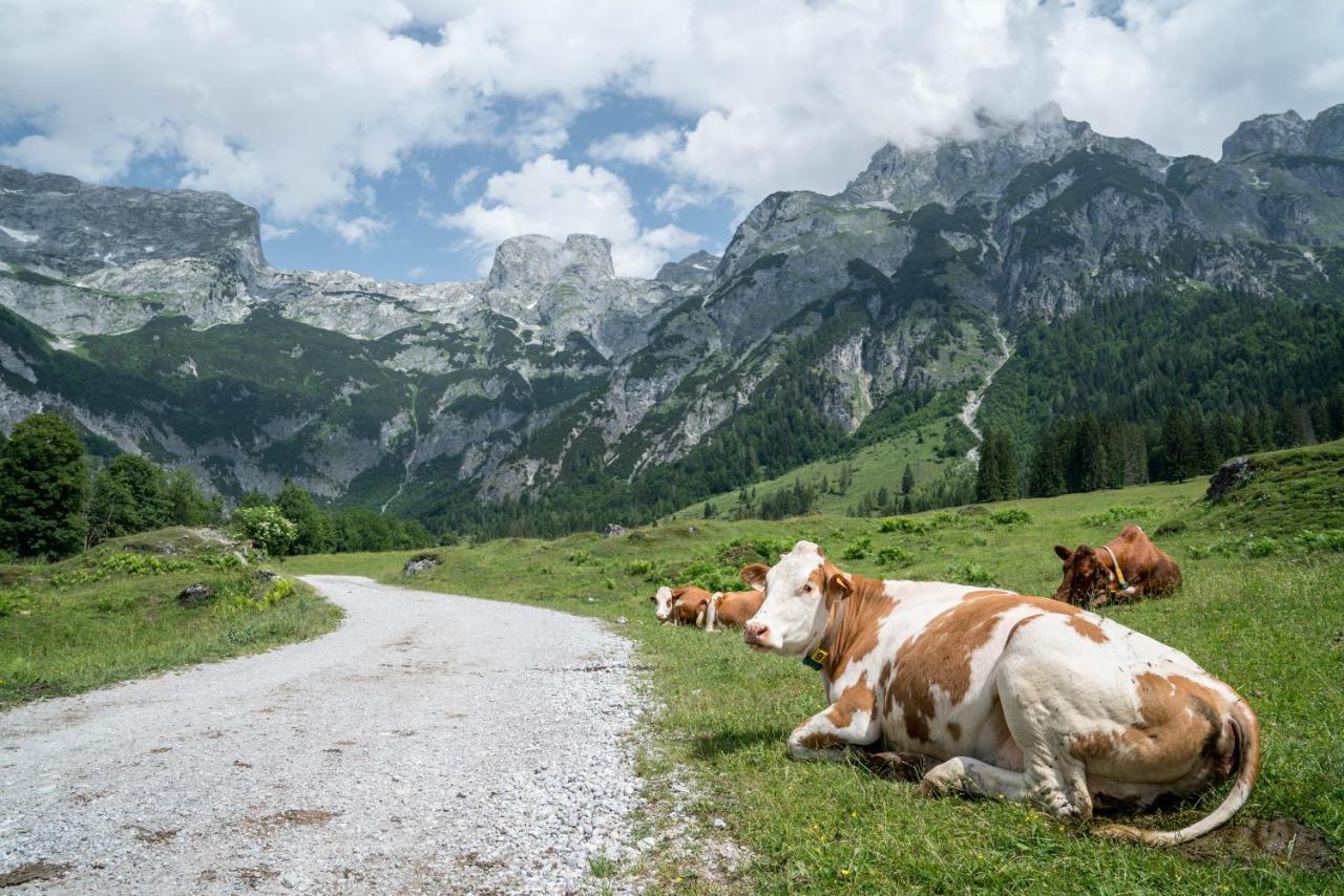Bio Bauernhof Vorderoberlehen Hotel Werfenweng Luaran gambar